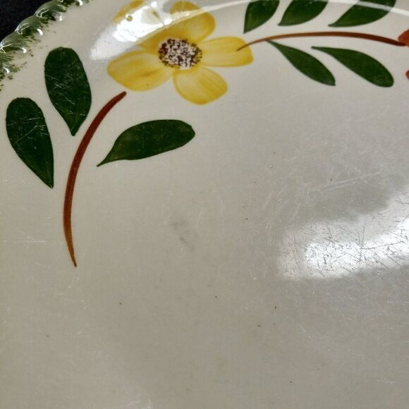 Blue Ridge Hand painted Underglaze Southern Potteries Cottagecore Countrycore - Picture 6 of 6